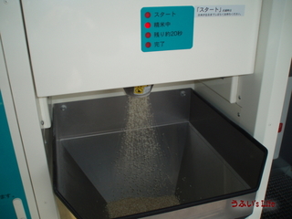 P20110518b5.jpg