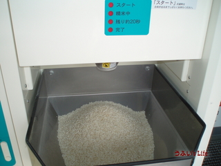 P20110518b6.jpg