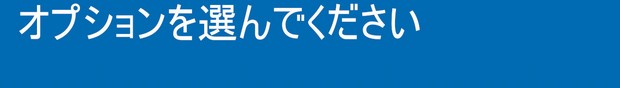 オプションを選んでください